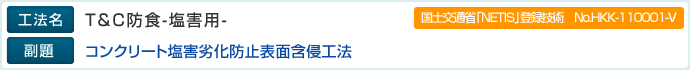 工法名：T＆C防食-塩害用-、副題：コンクリート塩害劣化防止表面含浸工法