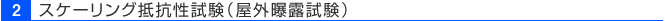 スケーリング抵抗性試験（屋外曝露試験）