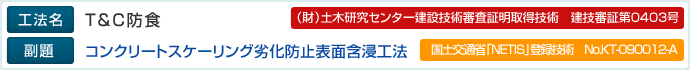 工法名：T＆C防食、副題：コンクリートスケーリング劣化防止表面含浸工法